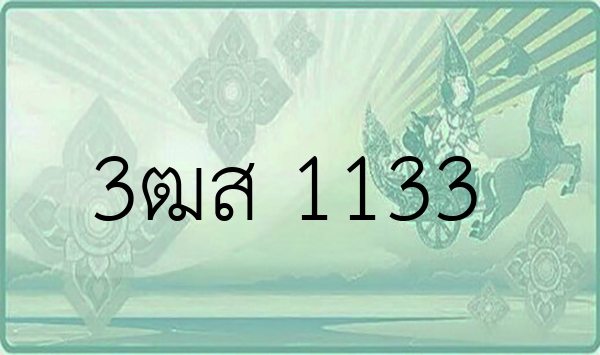 3ฒส 1133